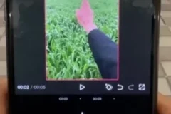 安先生20套新媒体导演课：短视频运营+爆款创作+流量变现