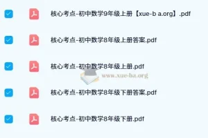 核心考点-初中数学