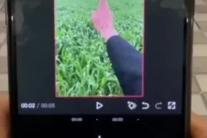 安先生20套新媒体导演课：短视频运营+爆款创作+流量变现