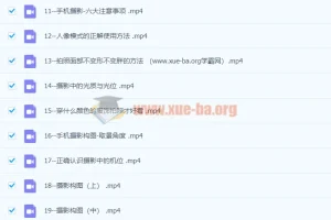 大摄狼邹总手机摄影爱好班零基础学会手机摄影构图