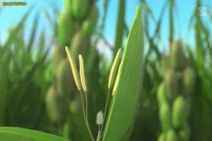 斑马百科：改变世界的20大发明