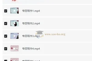大学英语 lili专业英语 专四写作