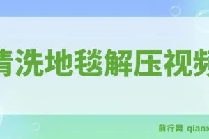 清洗地毯解压视频-简单无脑怼作品 , 超冷门抖音短视频赛道（教程+素材）