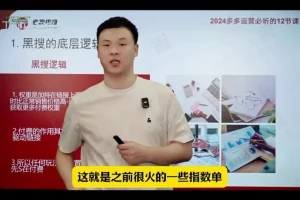 2024拼多多运营12讲：爆款打造与流量裂变