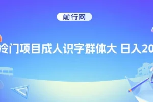 抖音快手成人识字冷门项目日入2000+