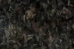 Aimer《800》[无损FLAC/MP3/60MB]