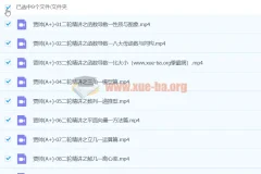 2024高三高考数学 贾帅 A+ 寒假班