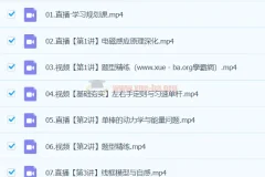 2024高二物理 孙竞轩物理 A+寒假班