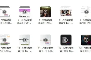 AI商业智慧【AI+文案+PPT+图像+视频】