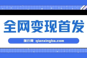 新手实操单号日入500+，渠道收益稳定，项目可批量放大