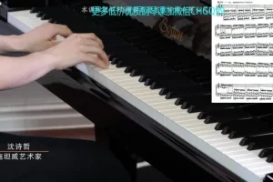 沈诗哲精讲哈农钢琴练指法60课全集