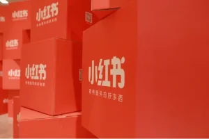 小Red书带货42天训练营 2.0版，宝妈+自由职+上班族+大学生，提高副业收入的大红利项目