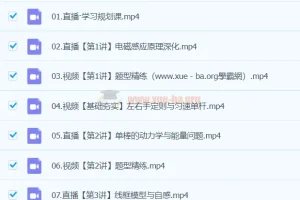 2024高二物理 孙竞轩物理 A+寒假班