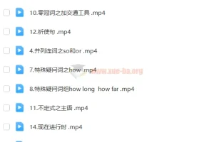 乐乐英语 爆笑语法 视频教程