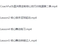 《B站付费课程：第二季篮球核心力量技巧训练课程》[MP4]