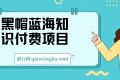 黑帽蓝海知识付费项目，黑帽培训技术