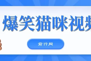 爆笑猫咪视频：简单操作，日入过K，视频号搞钱新策略
