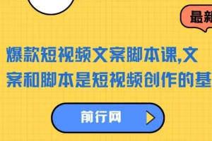 【精】爆款短视频文案脚本课，文案和脚本是短视频创作的基石，从根本上提升创作能力才是顶级的流量密码