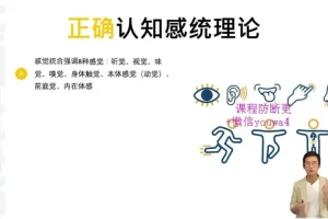 高效学习秘籍：状元方法论与认知提升