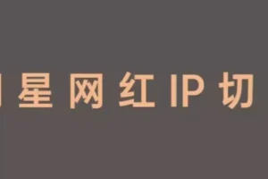 王子·明星切片线上训练营，和明星一起拿红利，让明星为我们赚钱