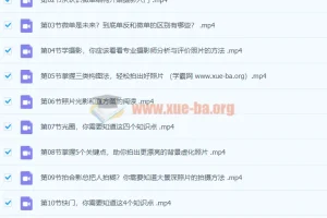 零基础·摄影入门，轻松拍出好照片（适用佳能、索尼、尼康、富士用户）