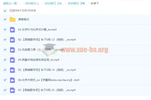 2024初三中考化学 杨雯智 S秋季班 下