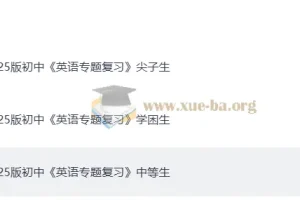 2025 初中英语 专题复习 学困生+中等生+尖子生（英语）
