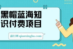 黑帽蓝海知识付费项目，黑帽培训技术