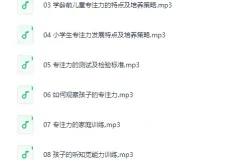 林薇：10堂课让孩子拥有惊人专注力[MP3]