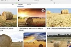 刘一男《零基础4000词英语速成》+《西游记语法精讲》