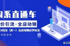 淘系电商直通车低价引流课：全店动销ROI提升攻略