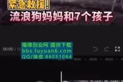 中视频计划：冷门蓝海项目实操指南，收益倍增秘籍