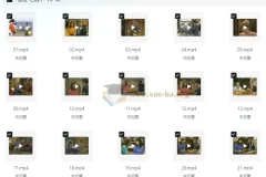 走遍美国学口语中文讲解版+原版中英字幕(中级-高中) (视频+音频+笔记)