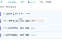 【完结】【2024中考】中考复习冲刺-化学