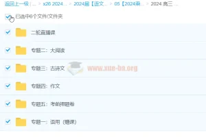 2024高三高考 乘风语文 二轮