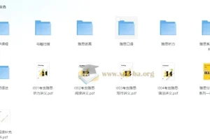 考虫雅思系统班 【29.7GB】