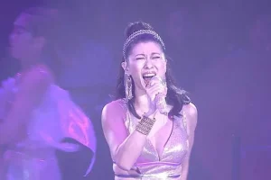 叶倩文《完全是你2012香港红馆演唱会》[高清1080P/MKV/25.5GB]