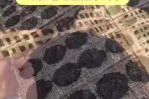 李鲆短视频带货实战指南：从入门到爆单