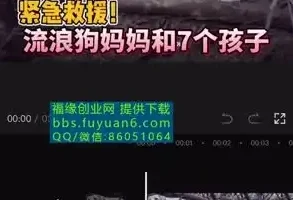 中视频计划：冷门蓝海项目实操指南，收益倍增秘籍