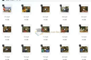 走遍美国学口语中文讲解版+原版中英字幕(中级-高中) (视频+音频+笔记)