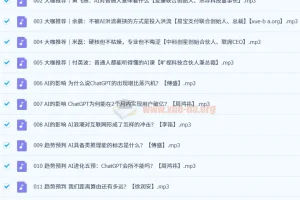 AI实践真知课（31集全）