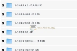 小升初总复习资料合集