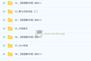 陈丽 初中数学 2025-2026初三秋上 数理思维自主学习·BS（3期）