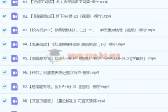 2024初二语文 柳宁语文 A+秋季班 下