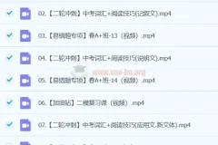 龙天宇 2024初三中考英语 A+春季班（下）