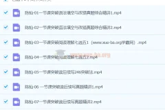 2024高三高考英语 陈灿英语 寒假班