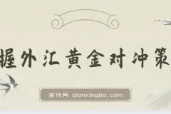 掌握外汇黄金对冲策略，日赚 800 – 2000，小众高回报创业机会，助你实