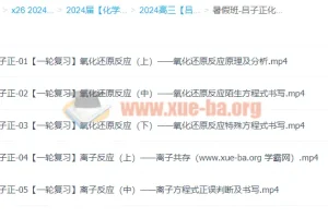 2024高三高考化学 吕子正化学 暑假班