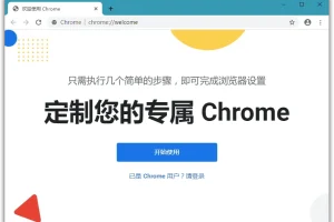 Google Chrome v127.0.6533.120 Stable 绿色便携版