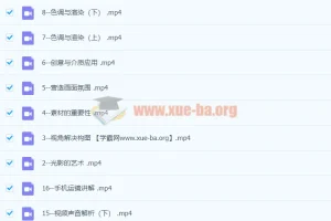 李辉手机视频拍摄美学课：从0基础开启用一部手机完成视频创作